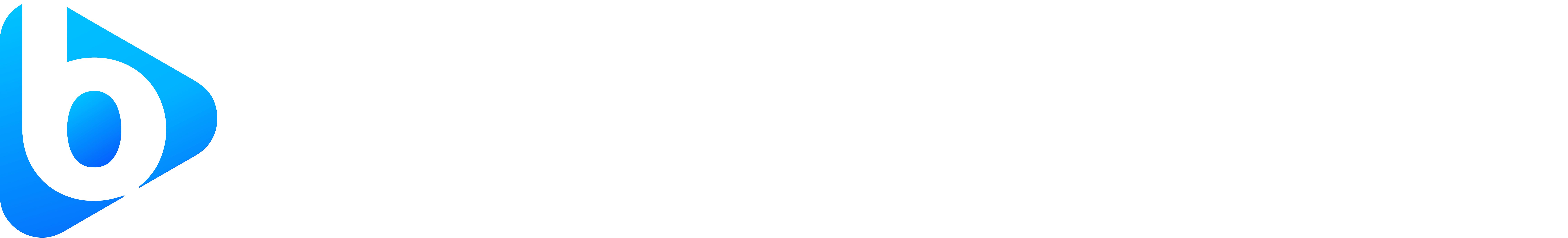 Bibita Media logo